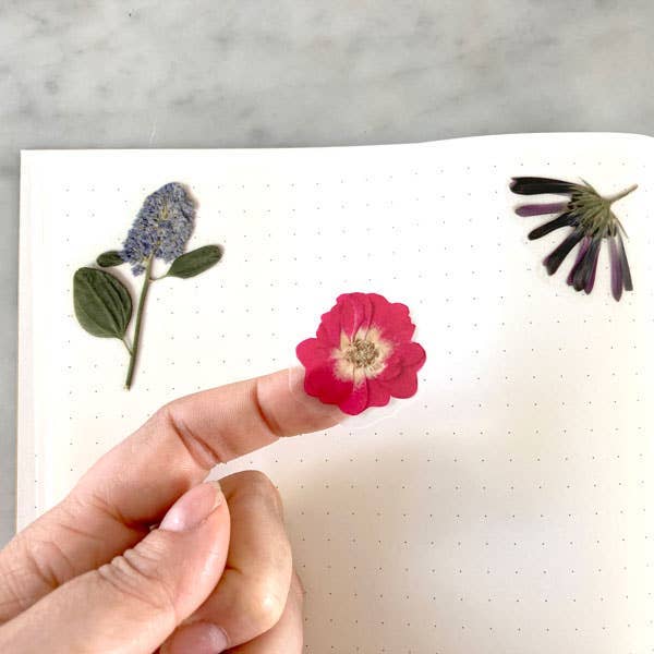 Botanopia USA - gifts , decor and cards for plant lovers - Wholesale Sticker - Pressed Flowers Sticker Sheet21