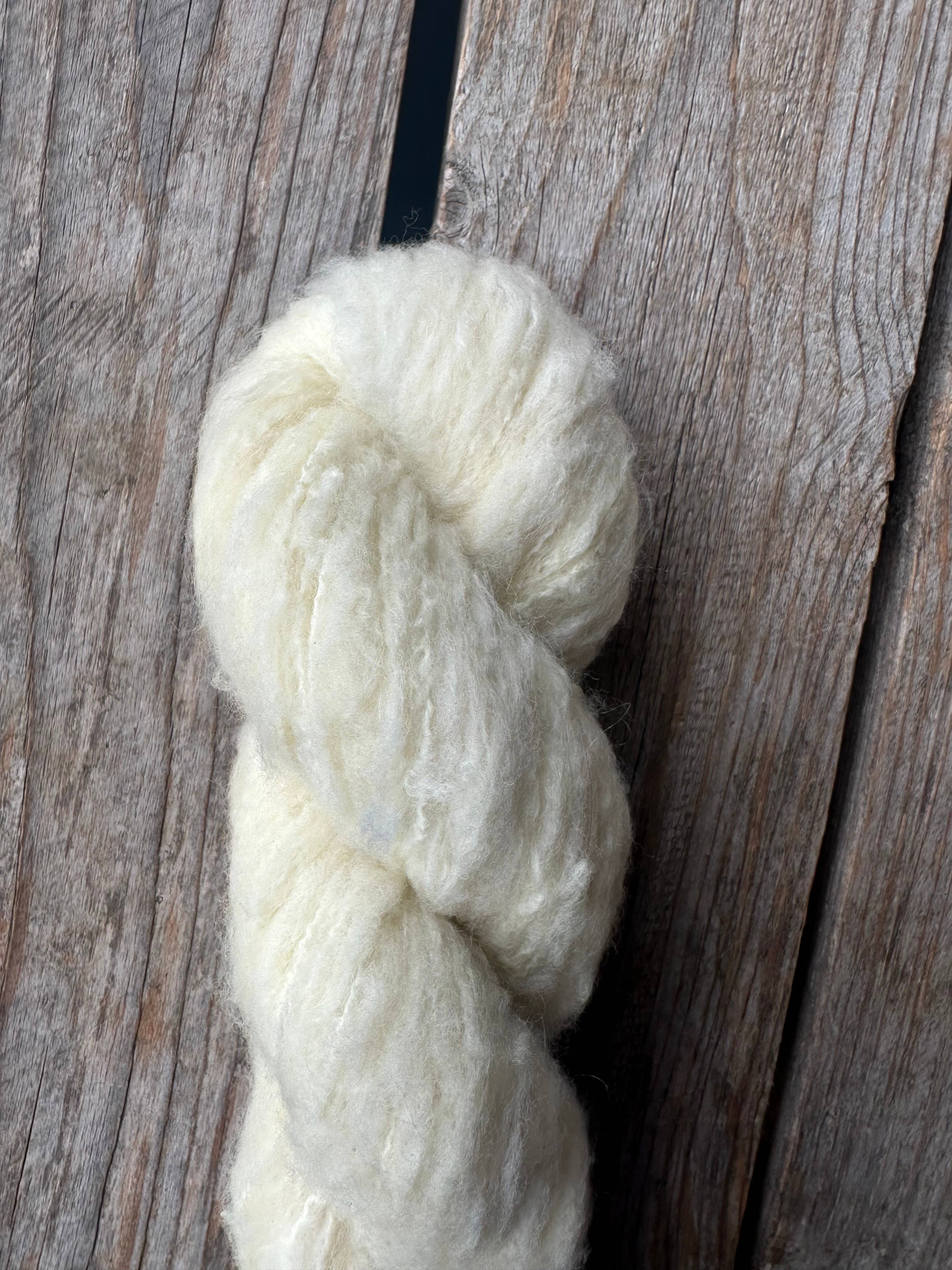 Koigu Wool Designs – wholesale Garn – Andra - Extra-fin Borstad Merinoullgarn17