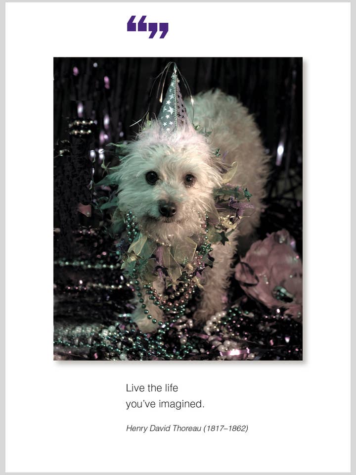 Biglietto di auguri di compleanno Live the life per la vendita all'ingrosso da parte di The Borealis Press Inc