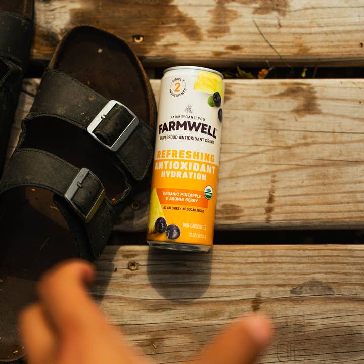 Farmwell Drinks - Wholesale Flavored/Infused Water (Non-Carbonated) - Organic Pineapple & Aronia Berry - 12 Pack2