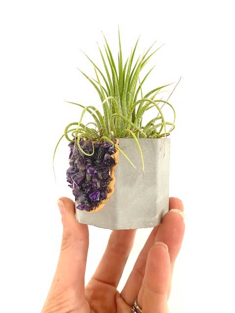 Plant One On Me Designs - Vente Pot - Jardinière en géode de cristal avec plante aérienne - Cristaux mixtes7