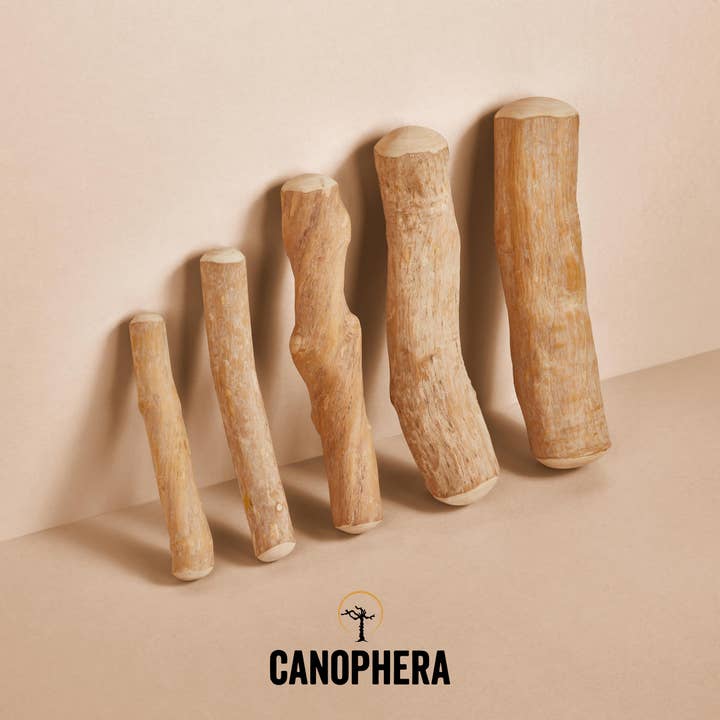 CANOPHERA LLC - Wholesale Pet Chew Toy - Dog - Wooden Sales Display Filled With 68 Coffee Wood Dog Chews.6