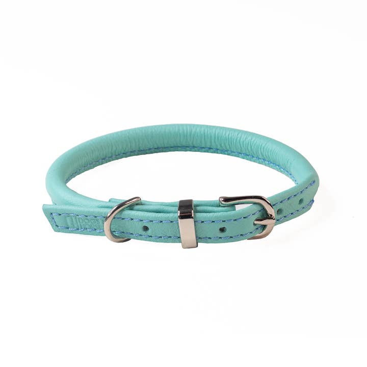 Rolled Soft Leather Dog Collar Aqua for wholesale by Dogs and Horses