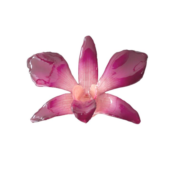 Real Orchid Hair Clip - Dendrobium Sonia Magenta Pink for wholesale by Devi & Co