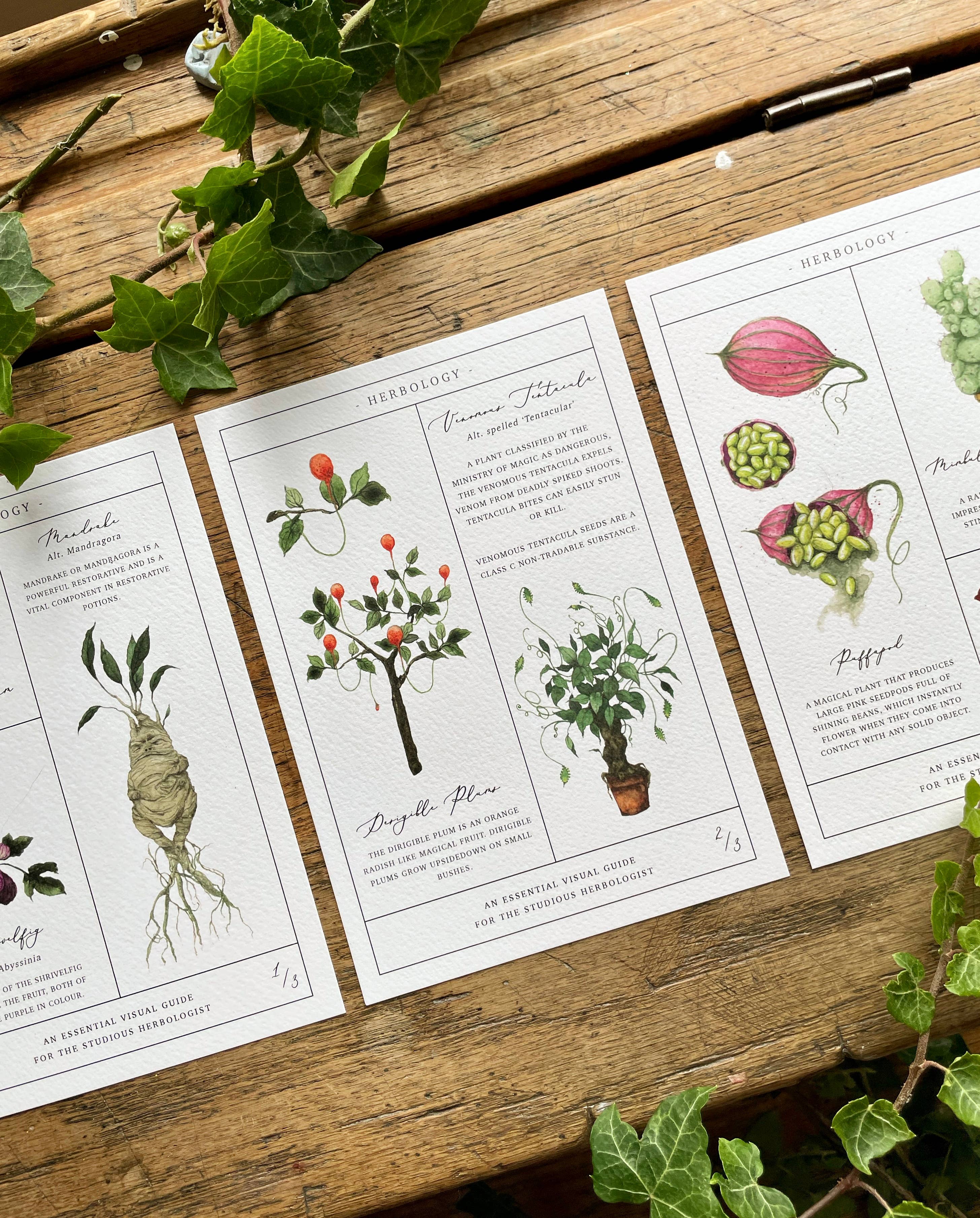 Georgiou Draws - Wholesale Kunstprint - Kruidenkaart Magical Botanical Art Print, set van 3 prints0