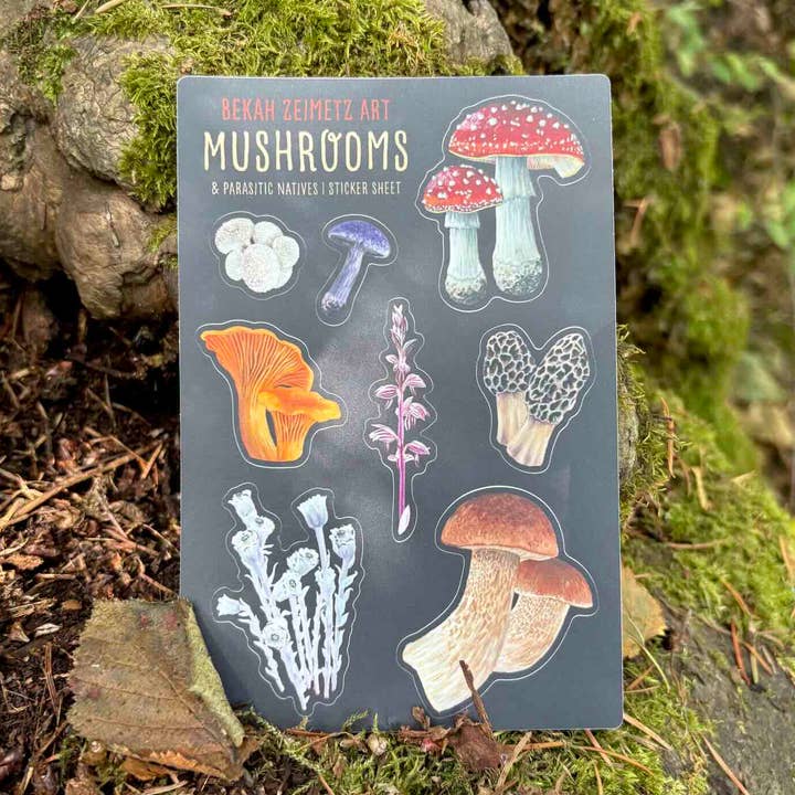 Bekah Zeimetz Art - Wholesale Sticker - Mushrooms & Parasitic Natives of the PNW | Sticker Sheet0