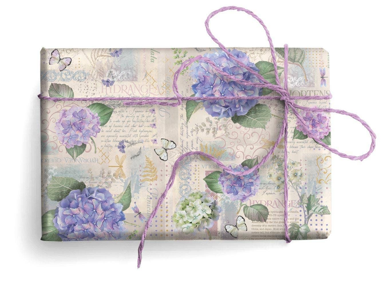 San Lorenzo Design - Vente Feuille de papier cadeau - Papier cadeau florentin, 2 feuilles pliées 19,7 x 27,6 po52