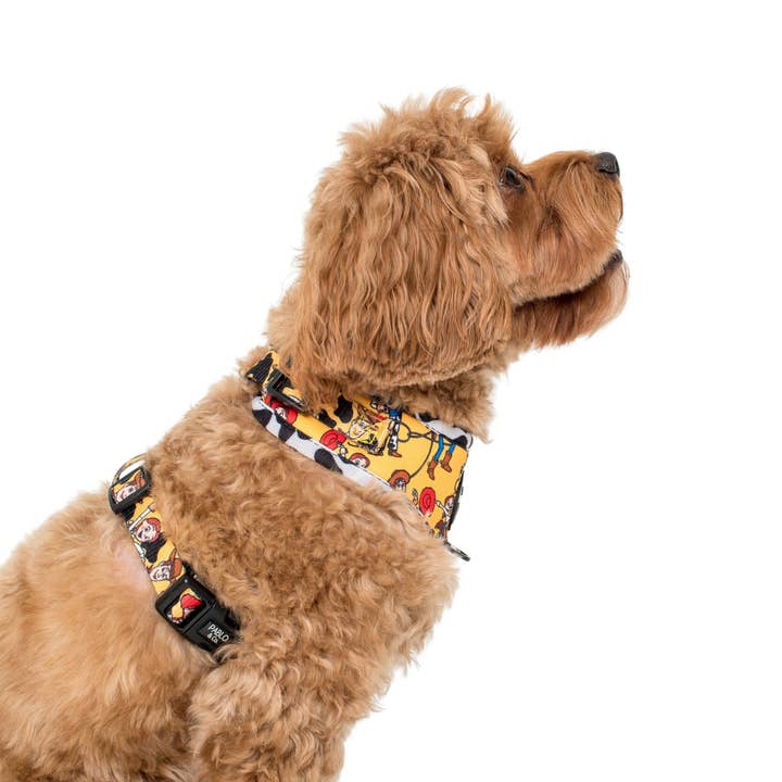 Pablo & Co. Boutique - Wholesale Pet harness – Dog - Toy Story - Woody's Roundup: Adjustable Harness3
