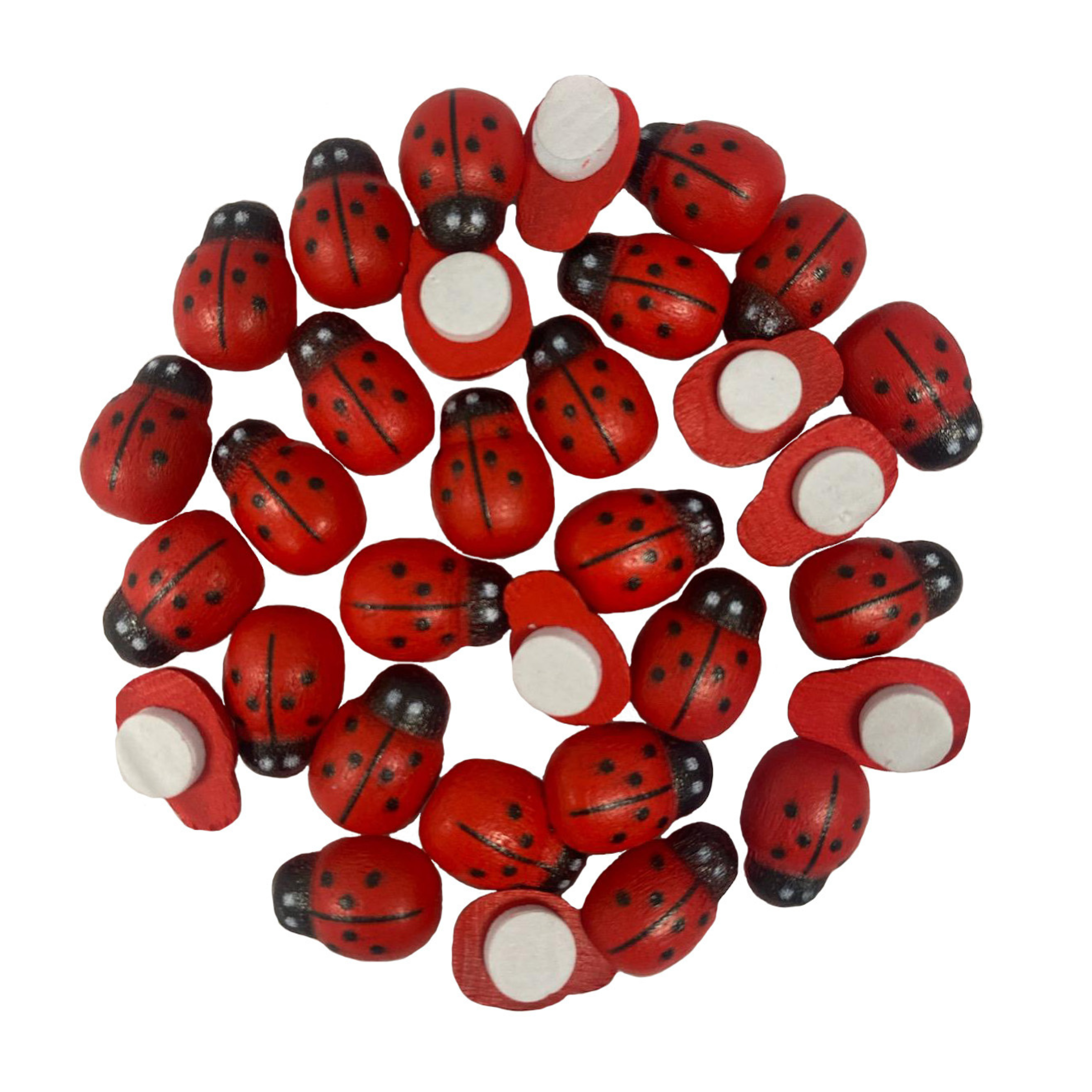 Angels Craft - Wholesale Craft Supplies - Tiny Wooden Bugs, 30-ct (2 options available)0