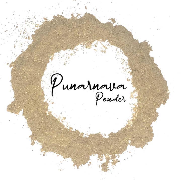 Komal Herbals, Inc - Wholesale Protein/Superfood Powder - Wholesale Spices & Herbs - Punarnava Powder, Organic 8oz (227g) Bag1