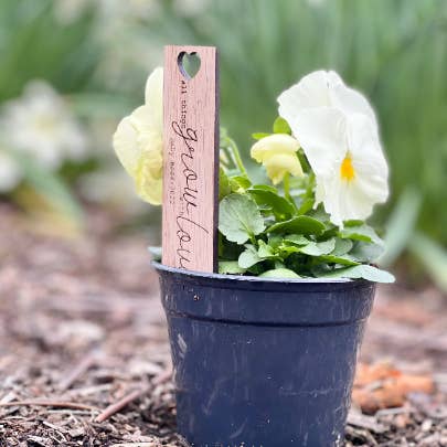 Juniper and Lilies - Wholesale Party Favor - Plant Stake Thank You | Party Favors for Succulents | Spring