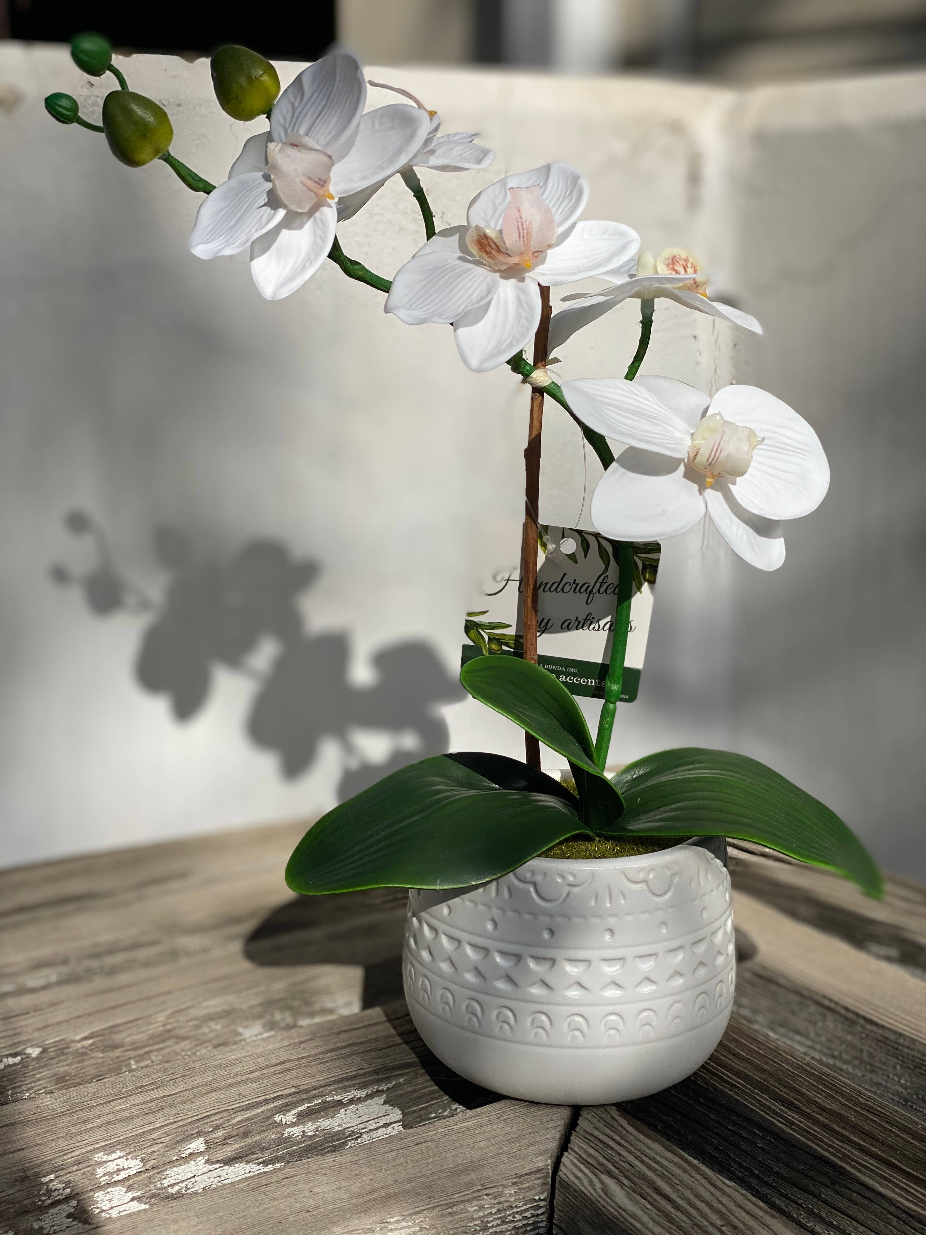 Flora Bunda Inc - Wholesale Artificial Flowers - 12" White Orchid in Textured Ceramic Pot Décor2