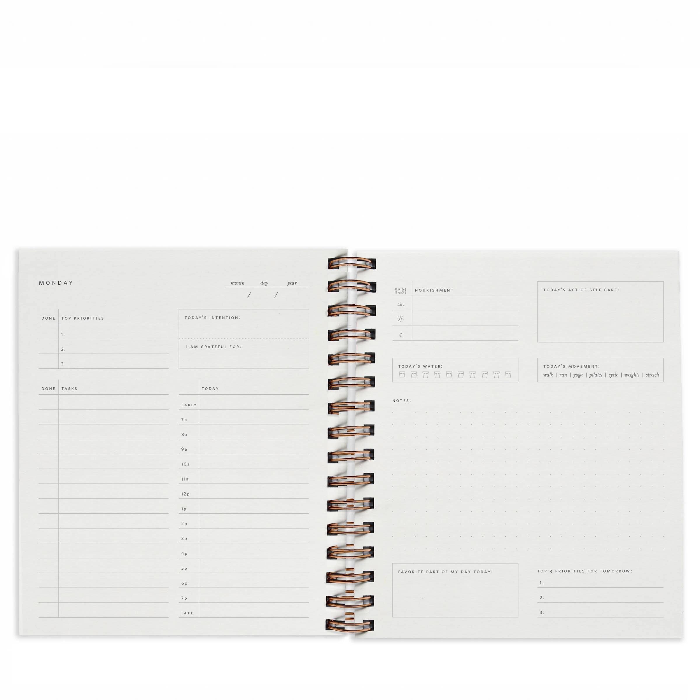 Ramona & Ruth - Wholesale Planner - Quarterly Overview Planner | Assorted Colors // Undated10