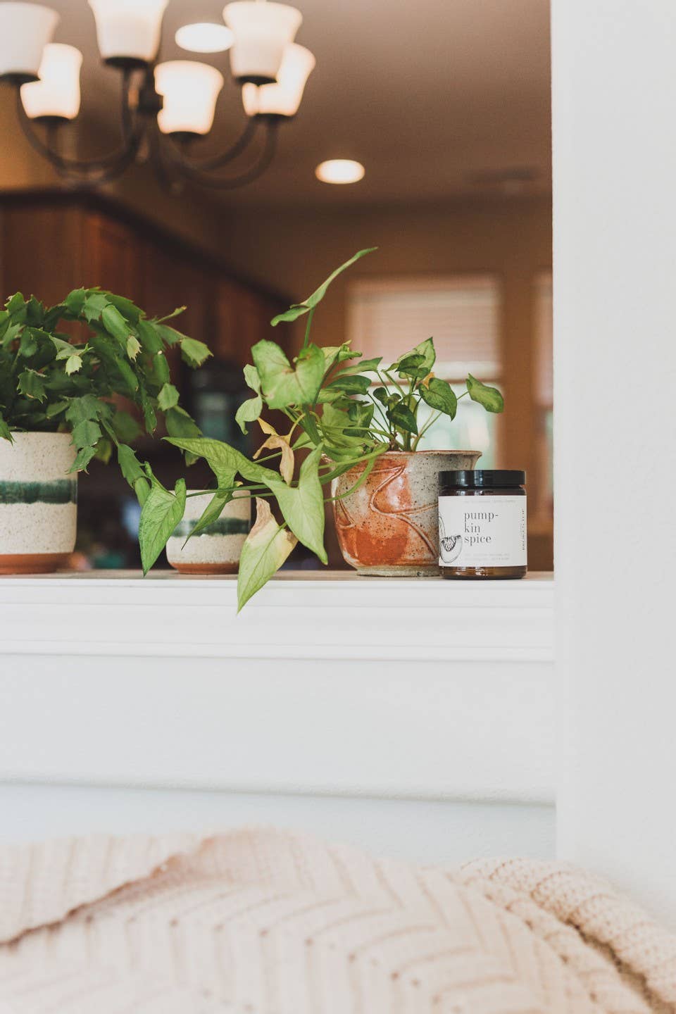 Broken Top Brands - Wholesale Jar/Filled Candle - Pumpkin Spice 9oz Soy Candle3