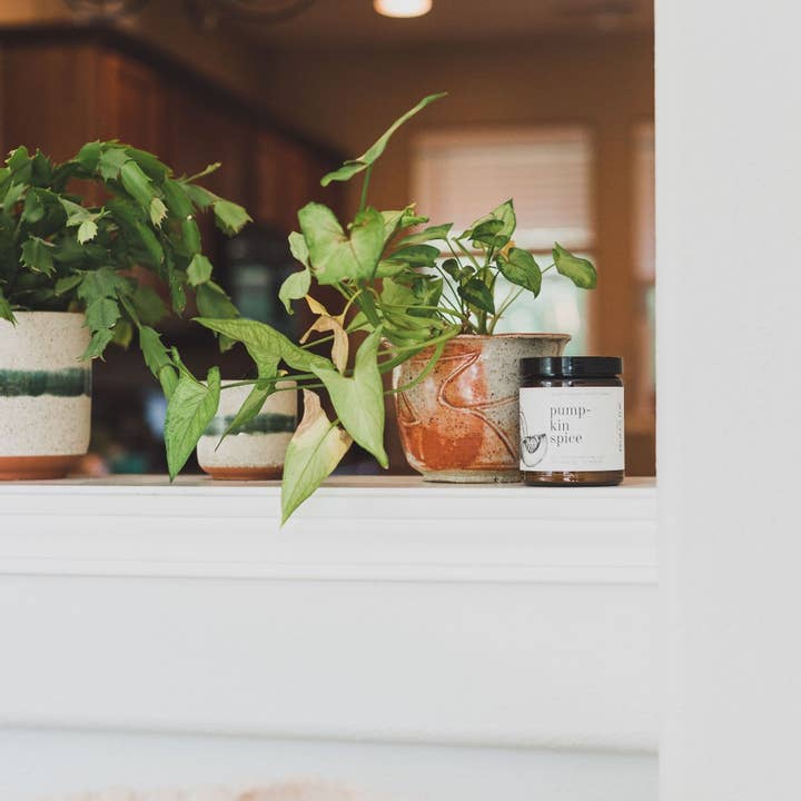 Broken Top Brands - Wholesale Jar/Filled Candle - Pumpkin Spice 9oz Soy Candle3