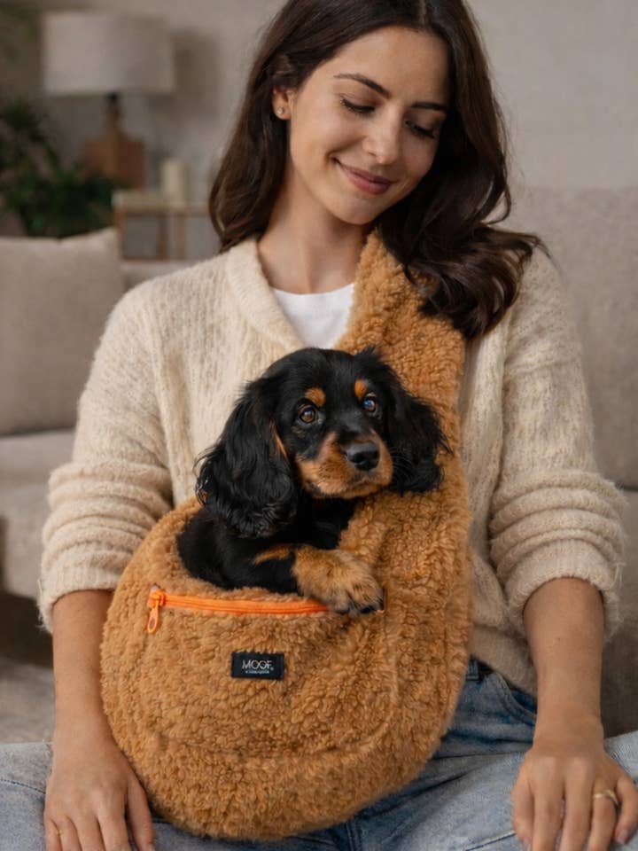 Ciclo Teddy per la vendita all'ingrosso da parte di MOOF.