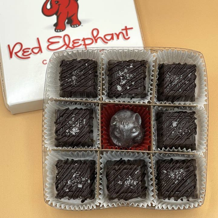 Concordia Red Elephant Chocolate - Wholesale Chocolate Box - The Sea Salt Caramel Collection: Our Best Selling Chocolates