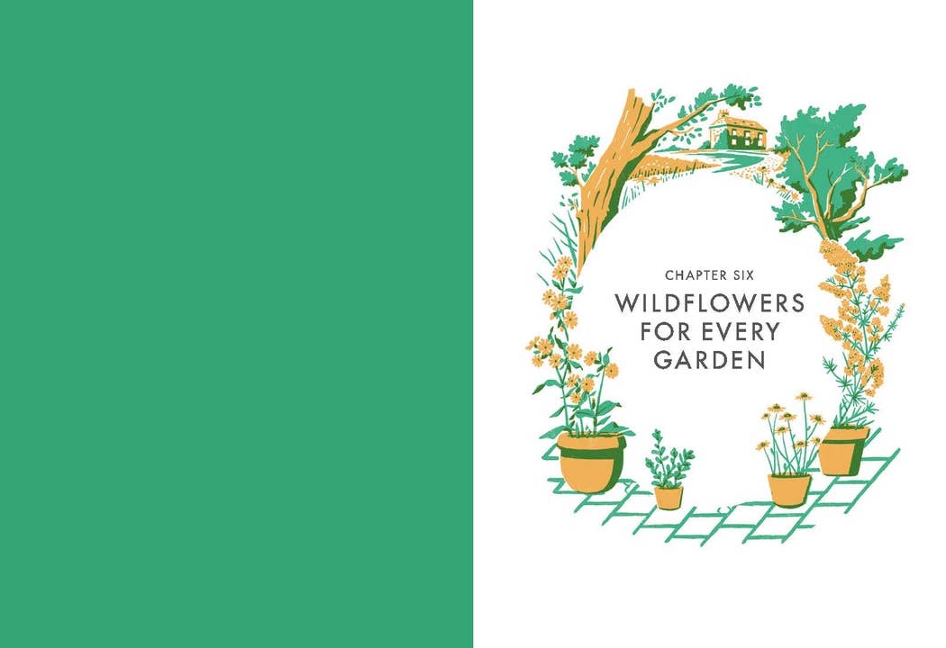 Chronicle Books - Wholesale Nature & Outdoors Book - Planting Wildflowers5