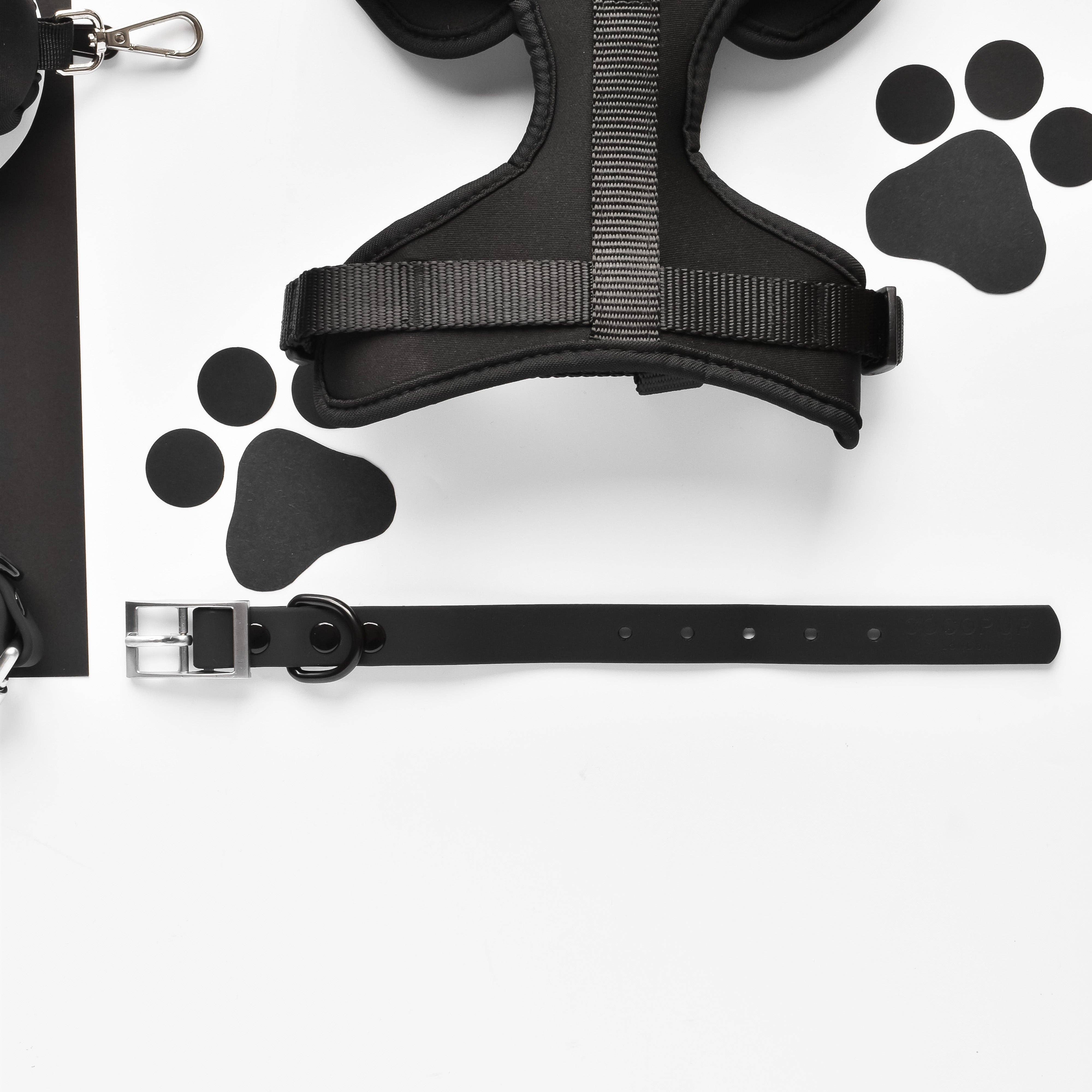 Cocopup London – wholesale Pet collar – Dog – NAKD Collar - Liquorice1