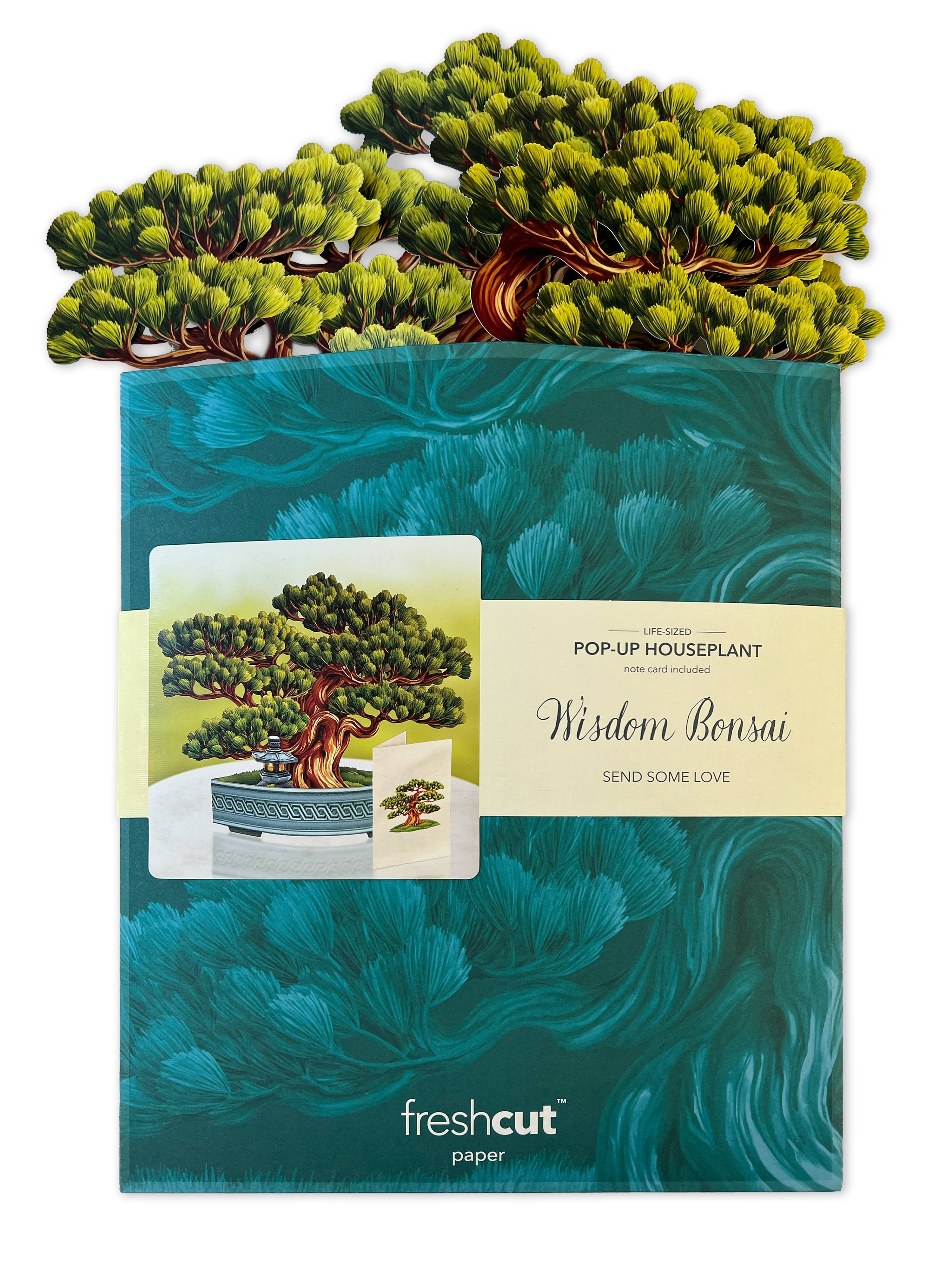 FreshCut Paper LLC - Wholesale Everyday Greeting Card - Wisdom Bonsai (8 Pop-up Greeting Cards)3
