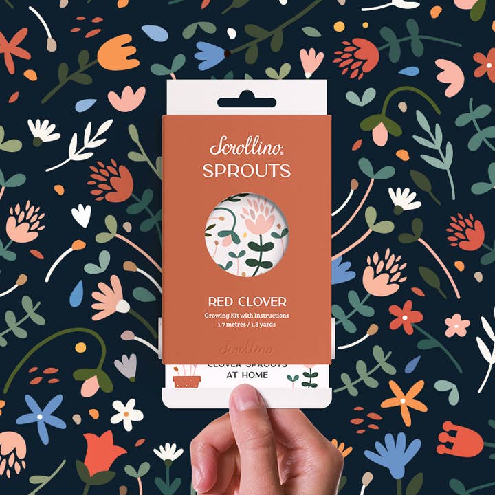 Scrollino - Wholesale DIY Craft Kit - Kids - Activity & Growing Kit - Scrollino Red Clover Sprouts2