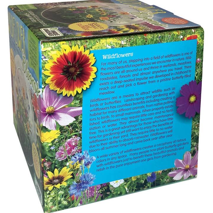 Silver Circle Products - Wholesale Terrarium - Wildflowers Glass Terrarium