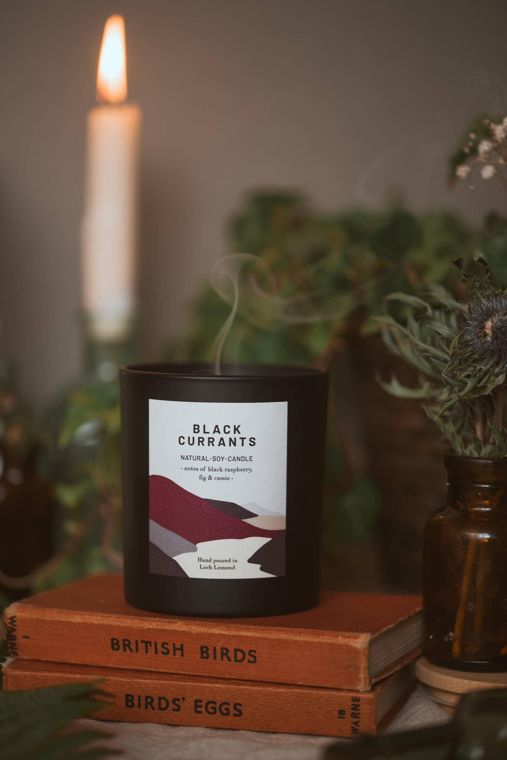 Ocoee House - Vente Bougie en bocal - Bougie parfumée aux cassis, biologique et végan | Ocoee House4