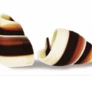 Foodie Gourmet - Belgien - Chokolade Marmor Swirl for engroshandel hos Alta Gama Foods