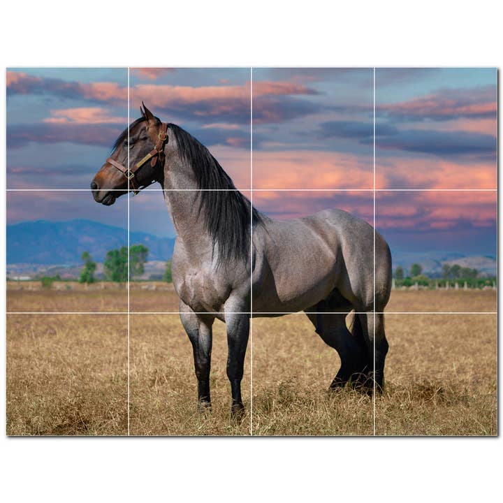 Hästkeramiska plattor Keramiska plattor Väggmålning PT500748 för wholesale av Picture-Tiles.com