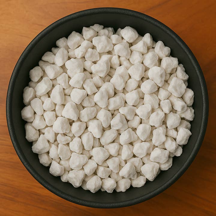 Pezzi di Ossa Fossilizzate (Fossilia Ossis Mastodi) per la vendita all'ingrosso da parte di LA Herb