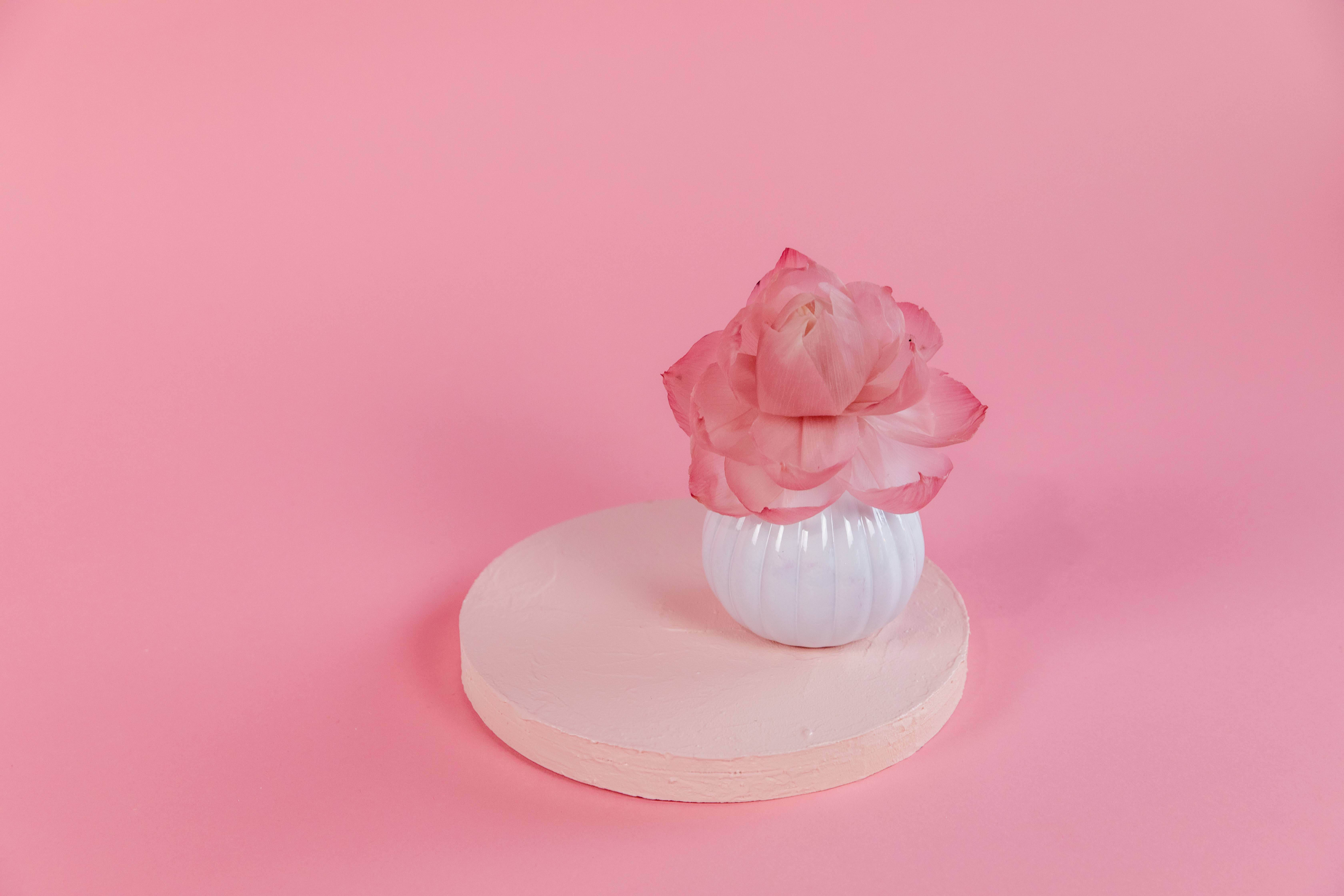 Bridgewater Candle Company - Wholesale Reed Diffuser - Sweet Grace Flower Diffuser4