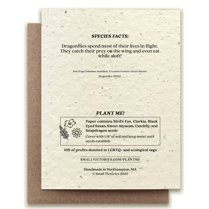 Small Victories - Wholesale Everyday Greeting Card - Green Darner Dragonfly Plantable Wildflower Seed Card1
