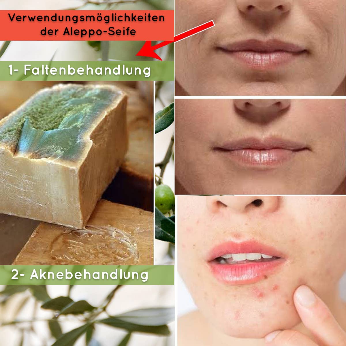 MaMi1Shop – wholesale Tvål – Aleppotvål MaMi 12 | Olivolja | 12 % lagerbladsolja5