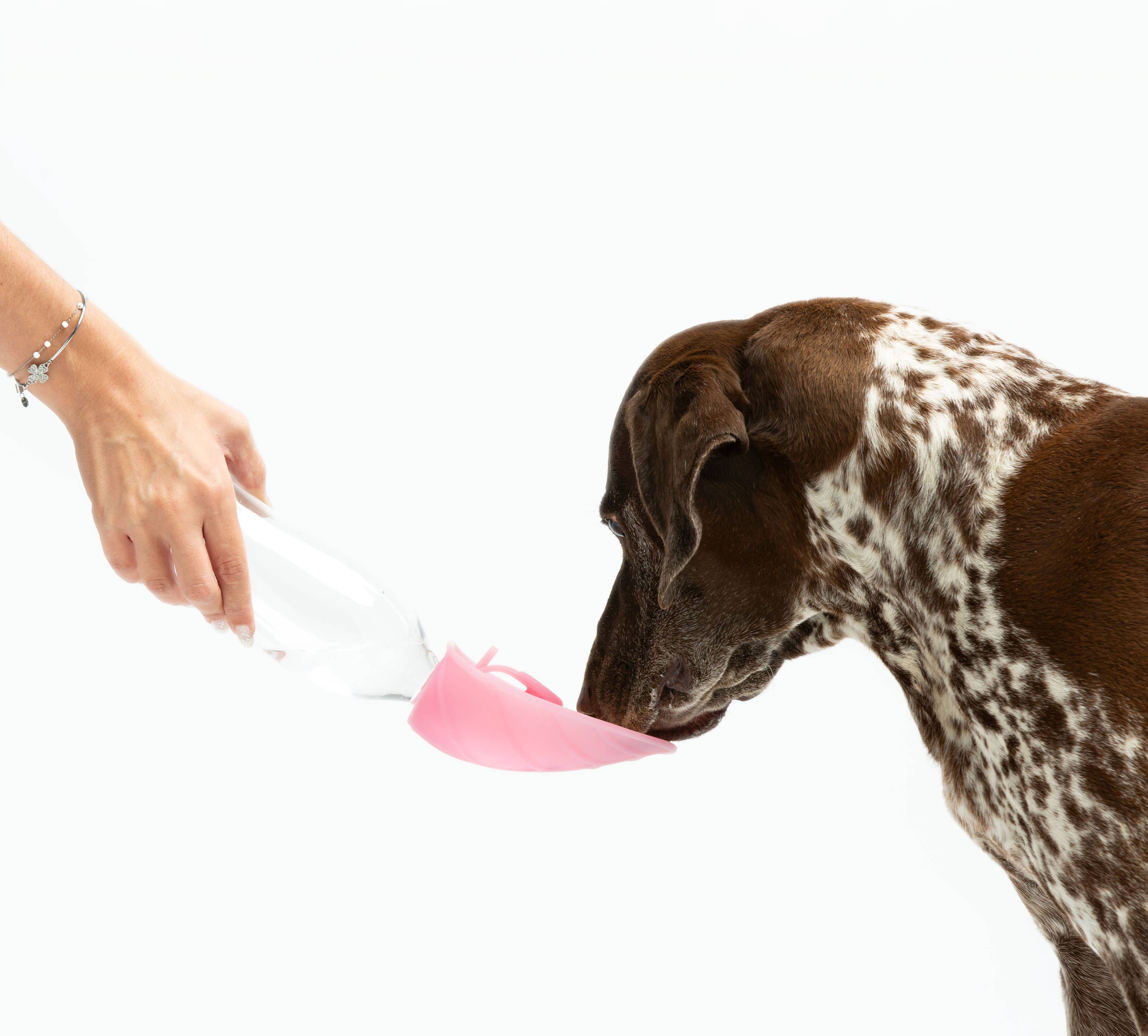 United Pets - Wholesale Water Bottle - Universal water dispenser with anti-drip valve6