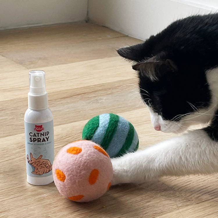 Kikkerland Design Inc - Wholesale Pet Toy - Cat - Kiko Spray & Play2