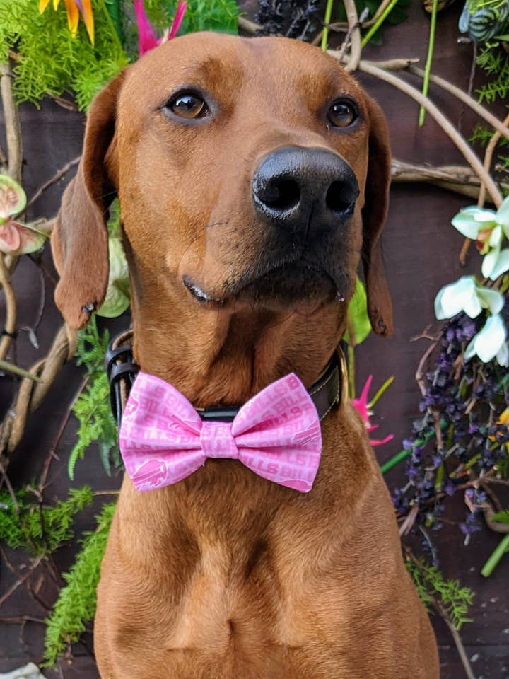 Buffalo Bills Pink Bow Tie - Football Collection for wholesale by Koa's Ruff Life