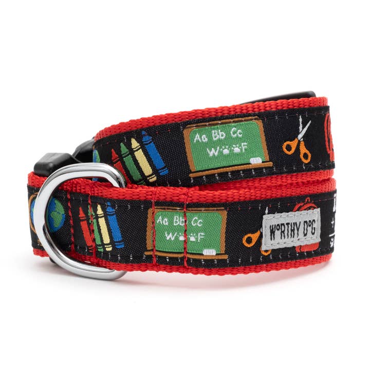 K9 College Collar for wholesale by The Worthy Dog