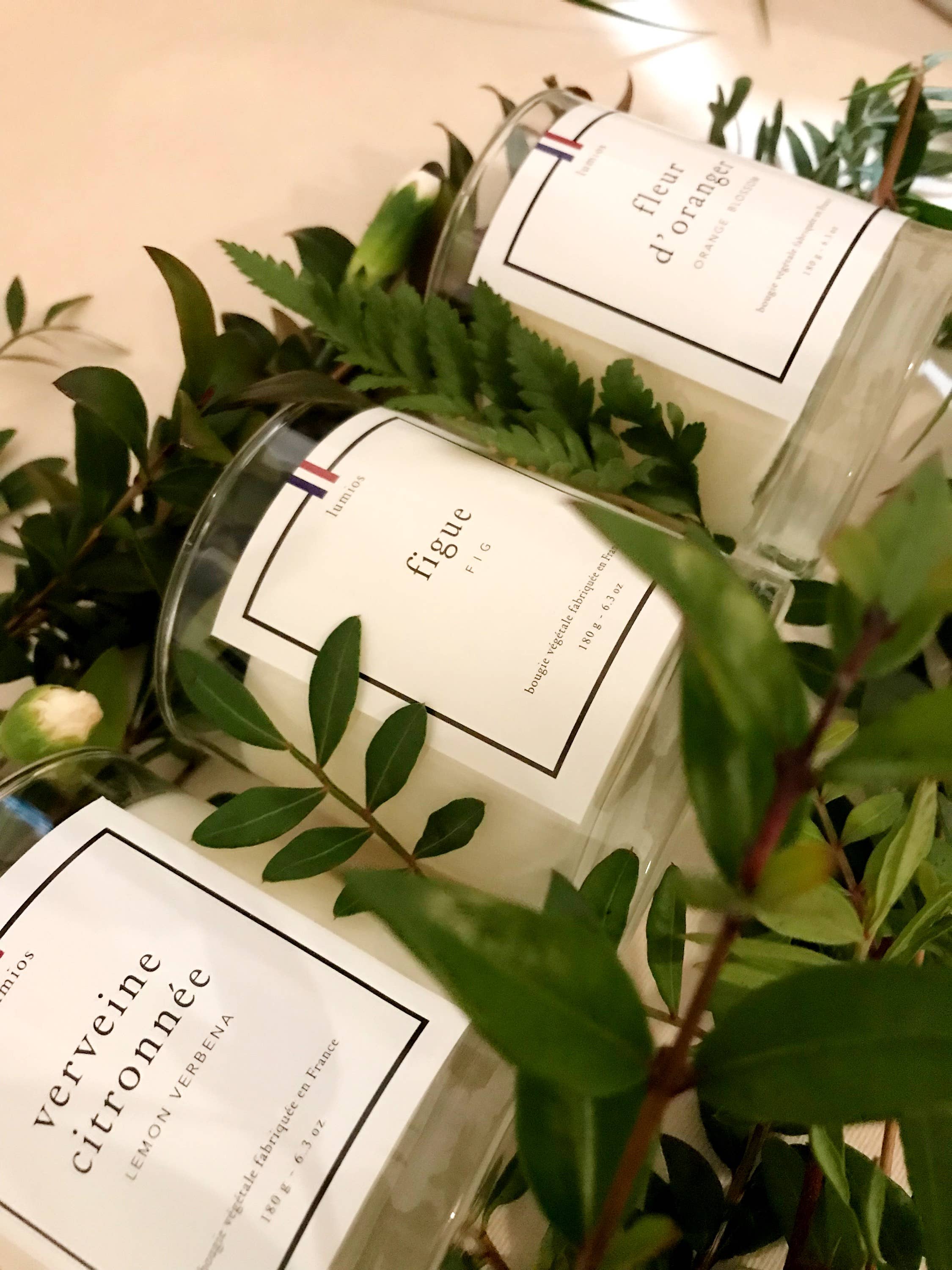 lumios - Wholesale Jar/Filled Candle - 9 discoveries collection - nature collection1