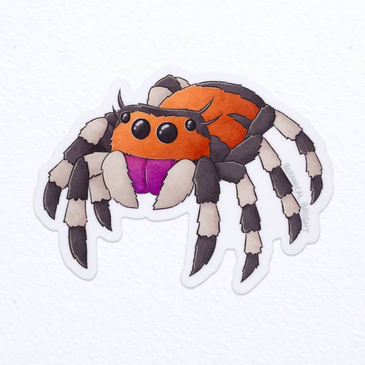 Spider Waterproof Vinyl Sticker for wholesale by Botanical Bright