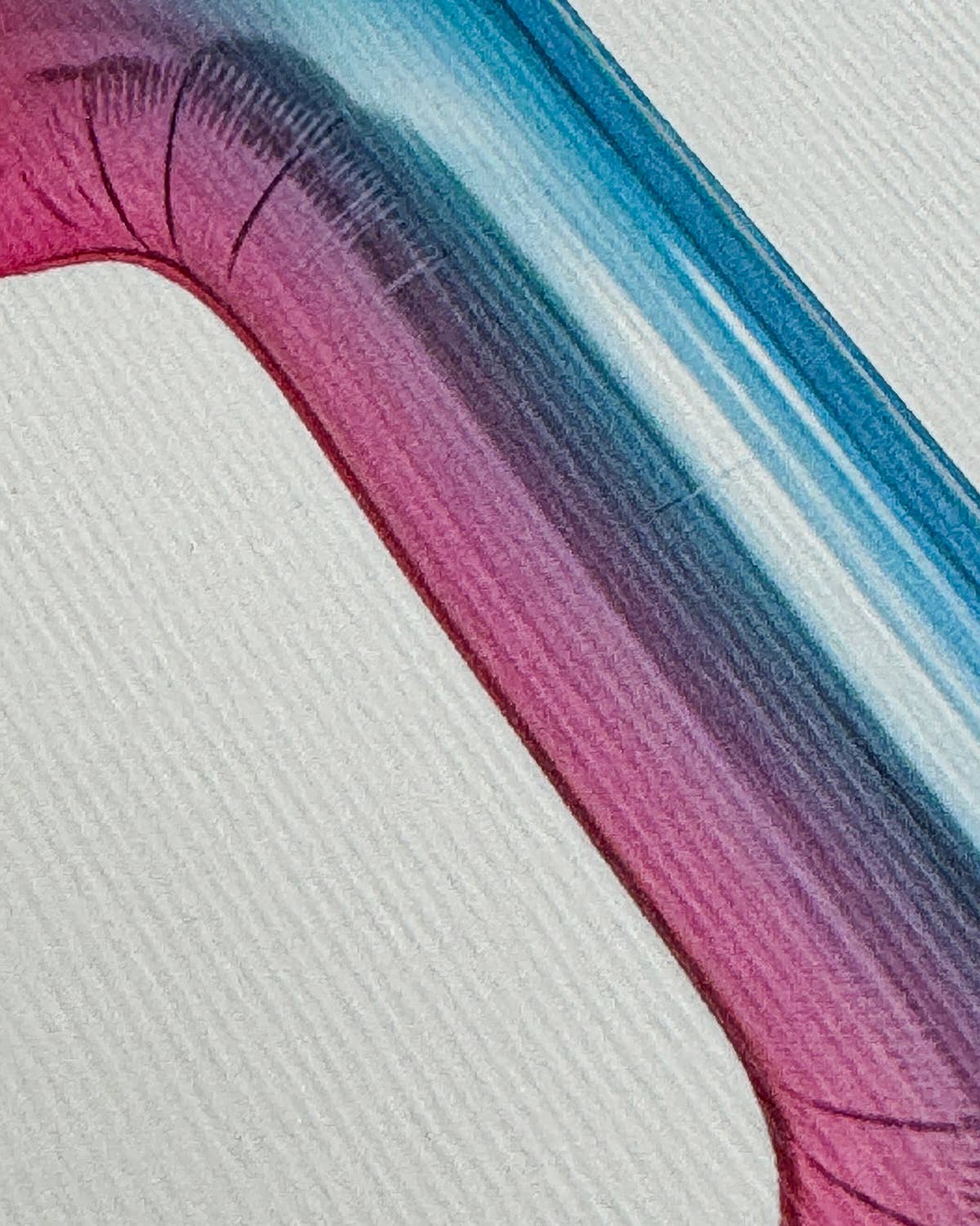 Canonbury Press – wholesale Birthday card – Birthday Balloon No. 1 Greeting Card | Age Cards1