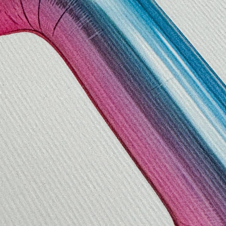 Canonbury Press - Venta al por mayor Tarjetas de cumpleaños - Tarjeta de Felicitación con Globo de Cumpleaños Nº 1 | Tarjetas de Edad1