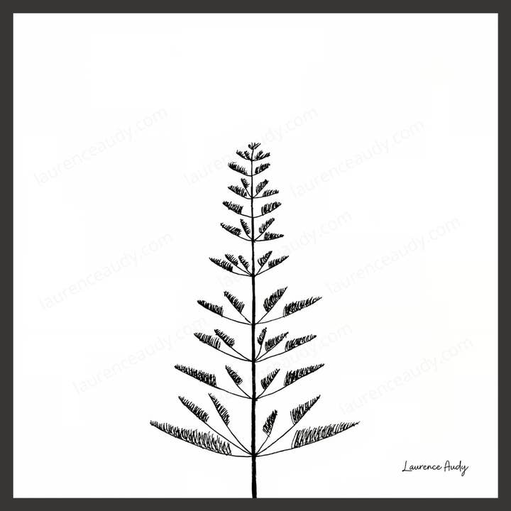 Affiche dessin minimaliste Arbre 06 pour la vente par LAURENCE AUDY CROQUIS