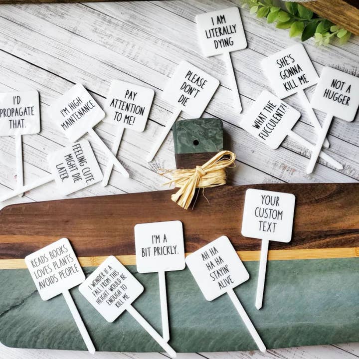 Mad River - Wholesale Garden/Lawn Stake - Snarky Plant Marker Stake - Happy Birthday