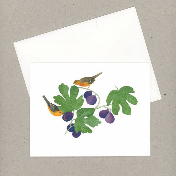 VMazzoni - Wholesale Stationery/Notecard Set - Boxed Botanical Note Cards Set of Six3