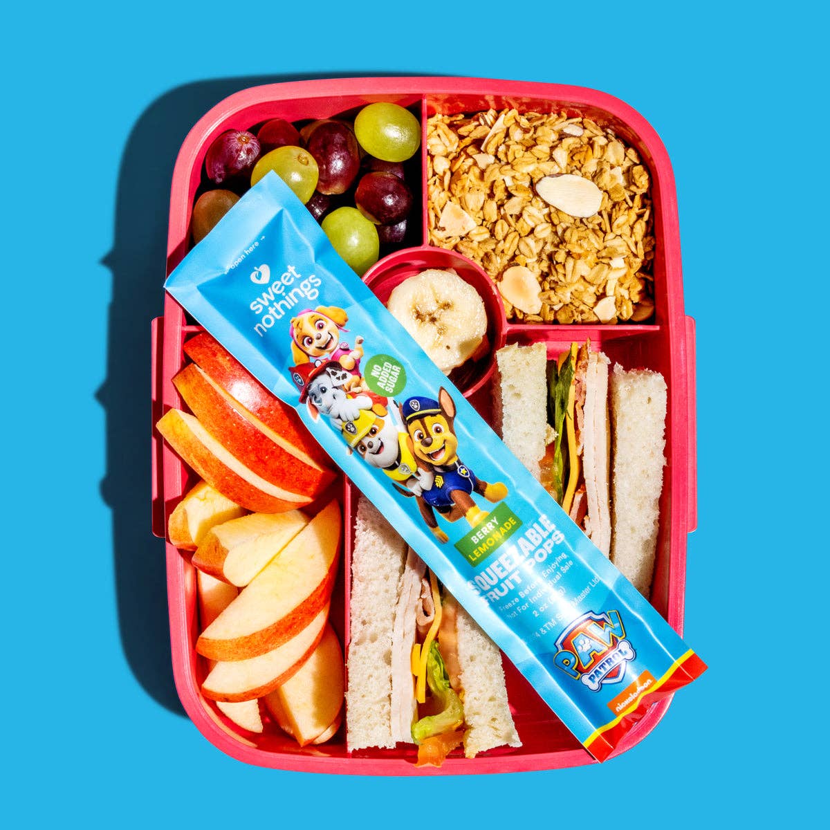 Sweet Nothings - Wholesale Fruit Snacks - Berry Lemonade Squeezable Fruit Pops - Freeze At Home9