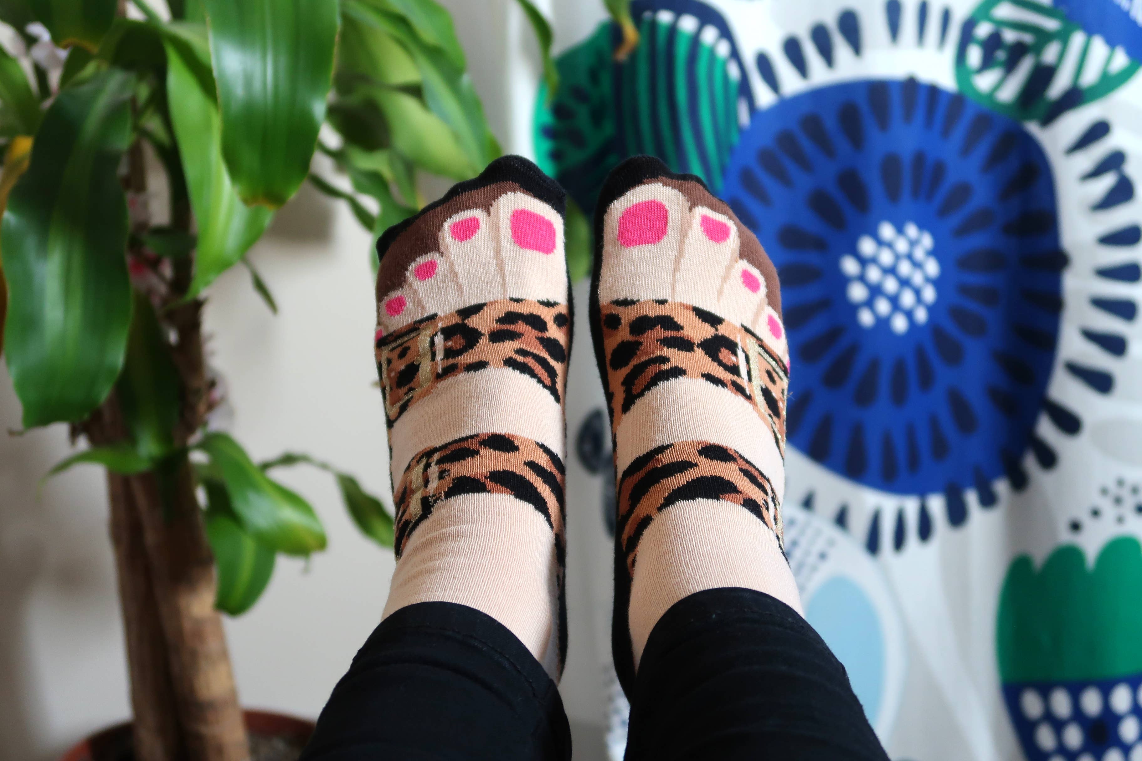 Sock Academy – wholesale Socks – Unisex – Unisex Pairs - Cockney Spaniel Countertop POS7