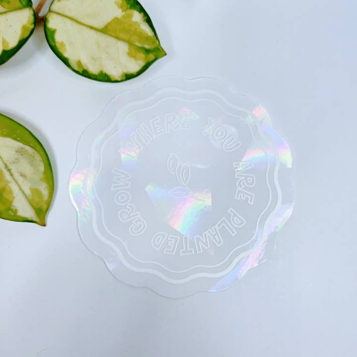 BumbleB Graphic Design - Wholesale Sticker - Grow Where You Are Planted Suncatcher Sticker5