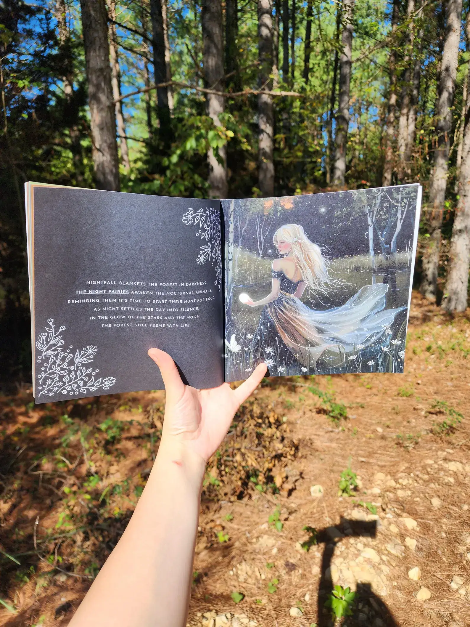 Author Linda Blackmoor - Wholesale Preschool Book (3-5) - Fairies of the Forest6