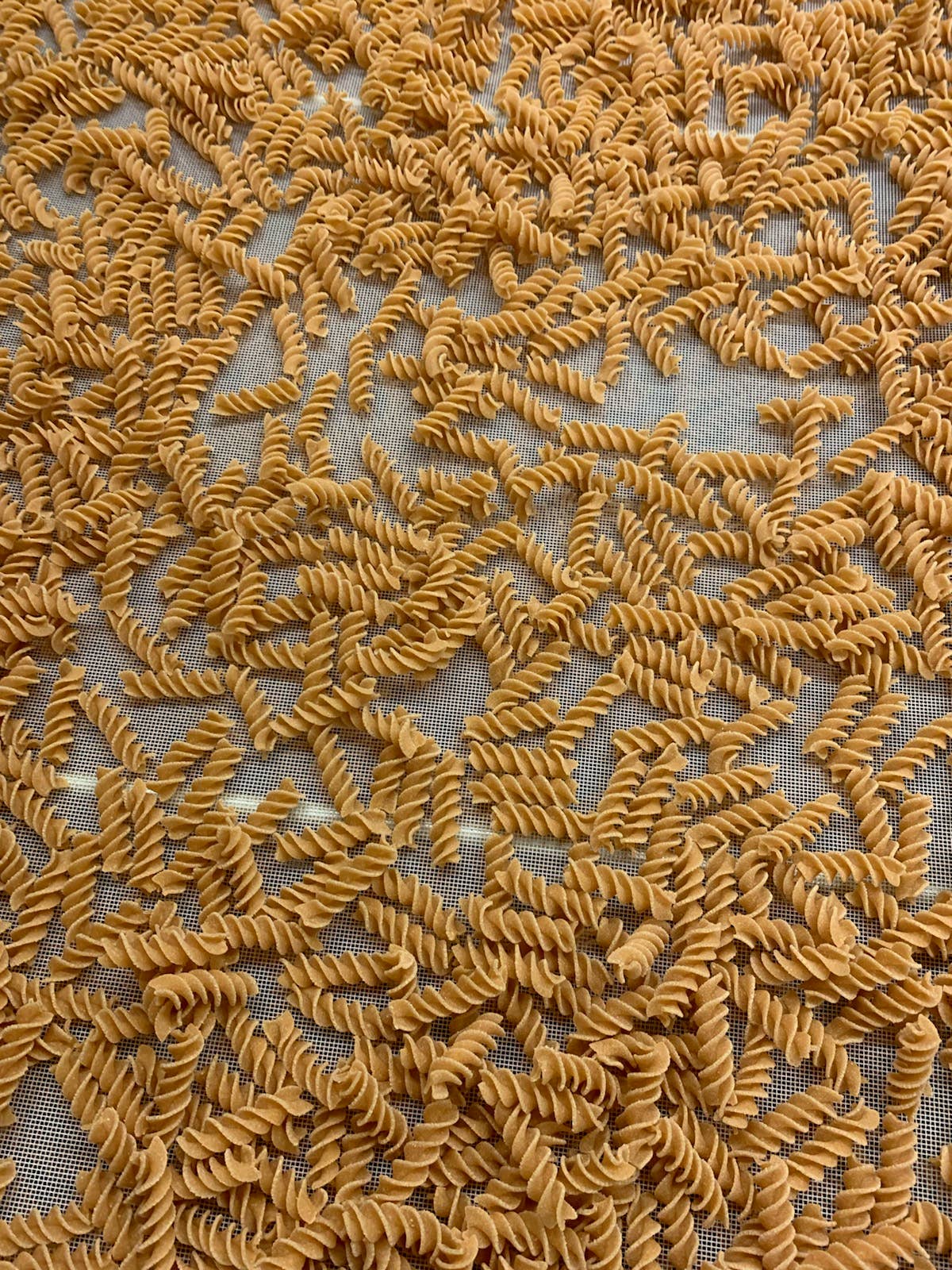 JaziLupini - Wholesale Pasta - Keto Pasta 10 lb Bulk Bag1