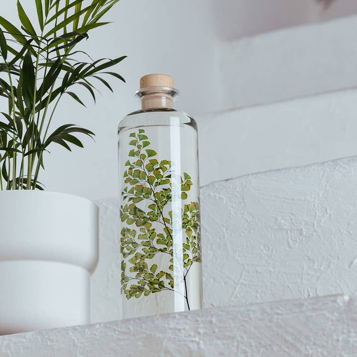 Theophile Berthon - Wholesale Live Plant - Herbarium Fern Luthi submerged plant9